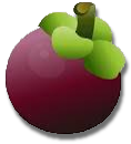 Mangostan